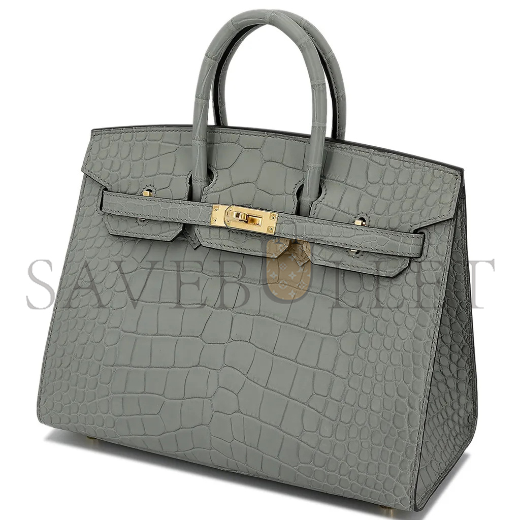 HERMÈS MASTER BIRKIN 20 CROCODILE LEATHER CRYSTAL GREY SILVER BUCKLE H041350CK05 (20*15.5*11cm)